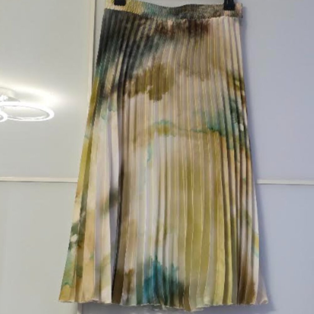 Skirt pleated